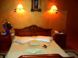 Cazare hotel AMBASSADOR*** > restaurant, sala conferinte, cabinet medical si stomatologic, , Baia Mare, MM, m343_9.jpg