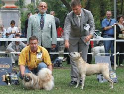 Cabinet veterinar BLUE CROSS, dr. Deleanu > scoala dresaj DOG MASTER > PET SHOP, Cluj Napoca, CJ, m4211_9.jpg