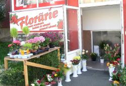 FLORARIA CENTER > livrari flori si aranjamente florale nunti si evenimente, buchete mireasa, Baia Mare, MM, m5408_2.jpg