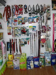 Pet shop si magazin vanzari online > ANIMANIA SHOP SM, Satu Mare, SM, m2175_8.jpg